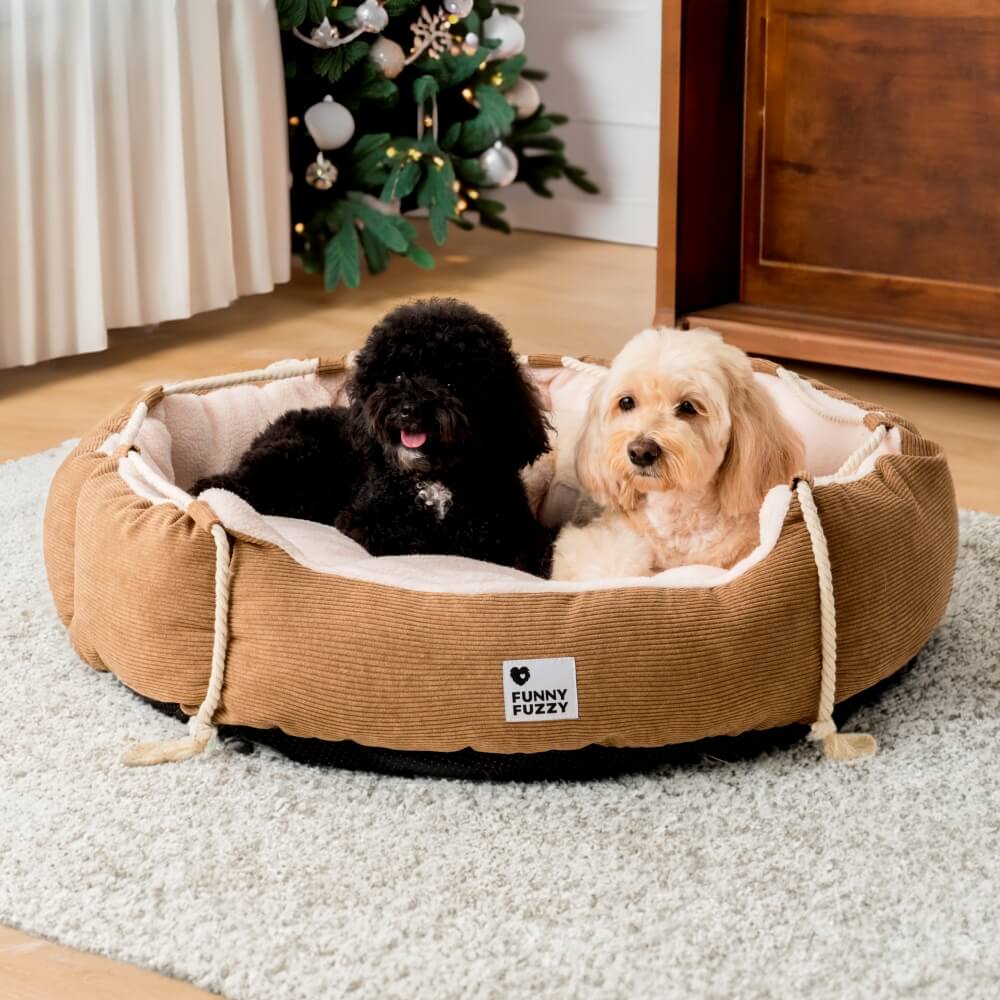 Playful Pull Rope Pet Bed Adjustable Chew-Resistant Dog & Cat Bed - Holidayae