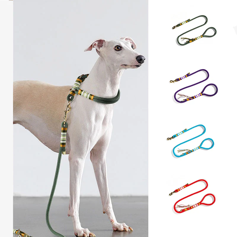 Hand-knitted Braided Rope Cool Dog Accessories Training Leash - Holidayae