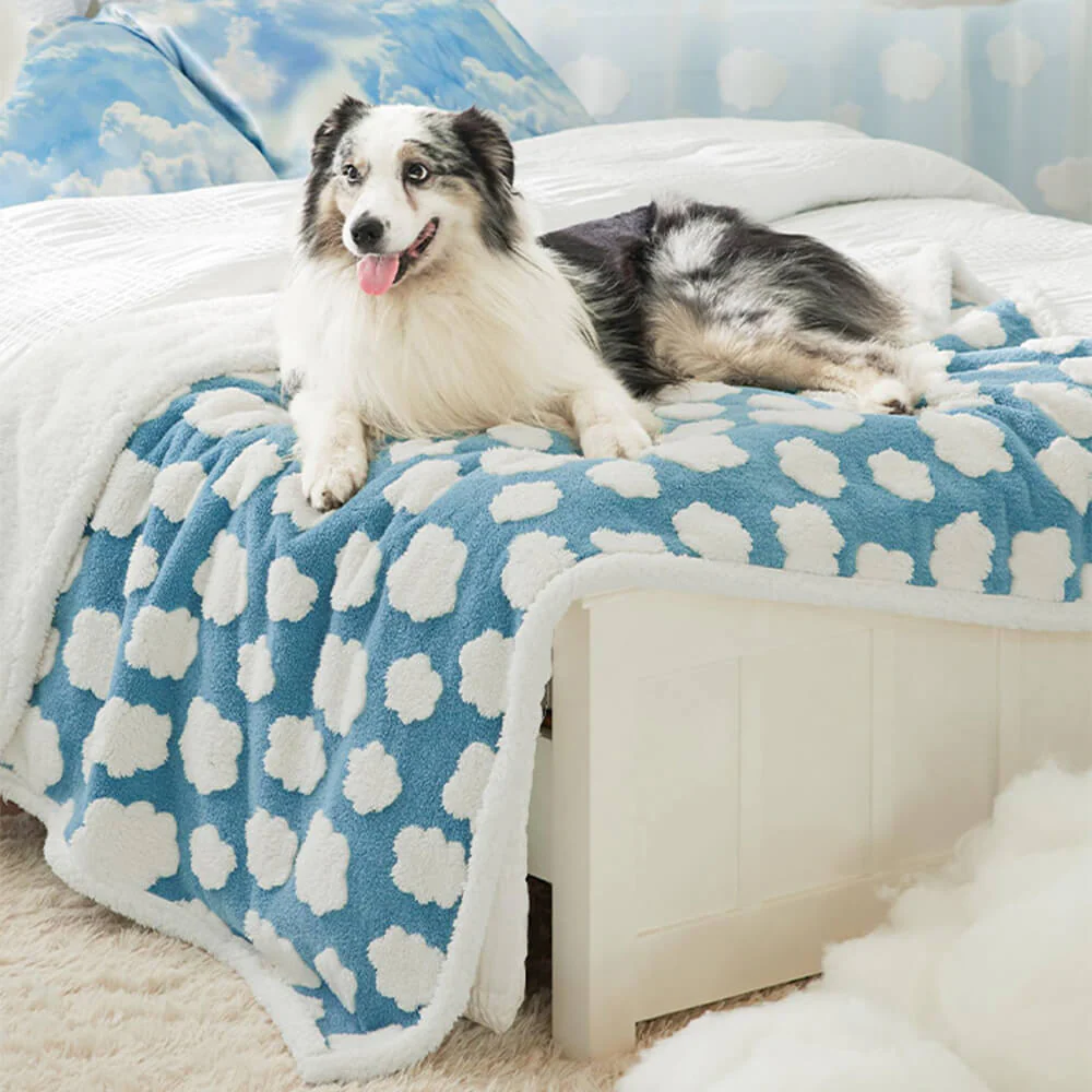 Cloud Flocked Waterproof Multi-Functional Sherpa Dog Blanket - Holidayae