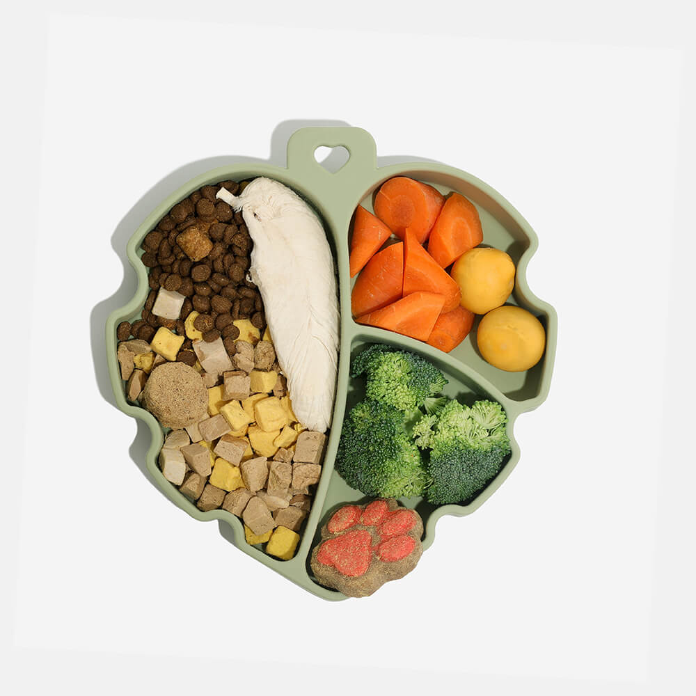 Suction Cup Pet Bowl - Leaf - Holidayae