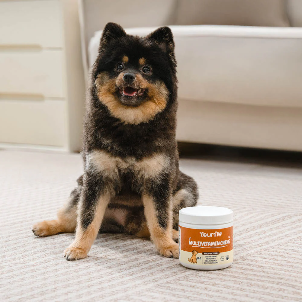 Dog Multivitamin Treats for Immune Health and Skin & Coat Support - 120 Count - Holidayae