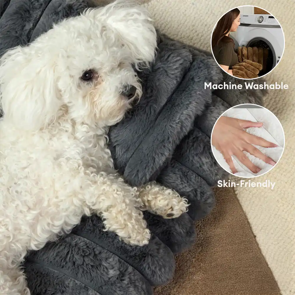 Plush Fluffy Thick Comfort Calming Dog Bed with Pillow - Holidayae