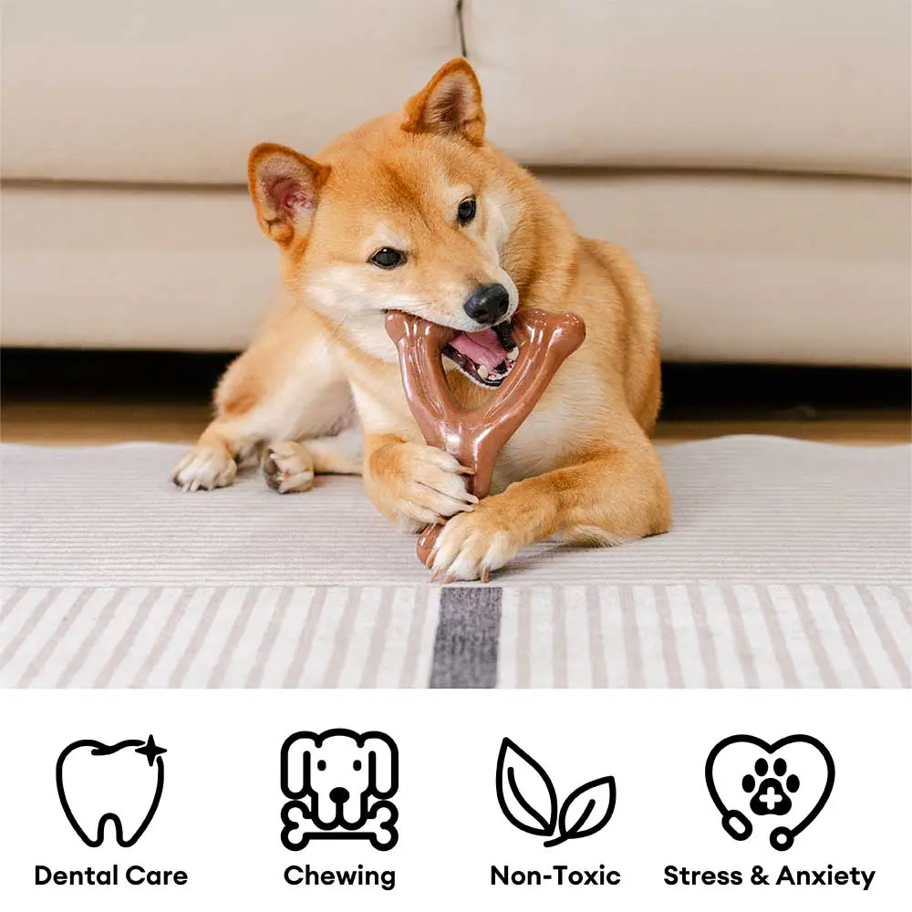 Teething Bones Dog Chew Toy - Bacon-Flavored - Holidayae