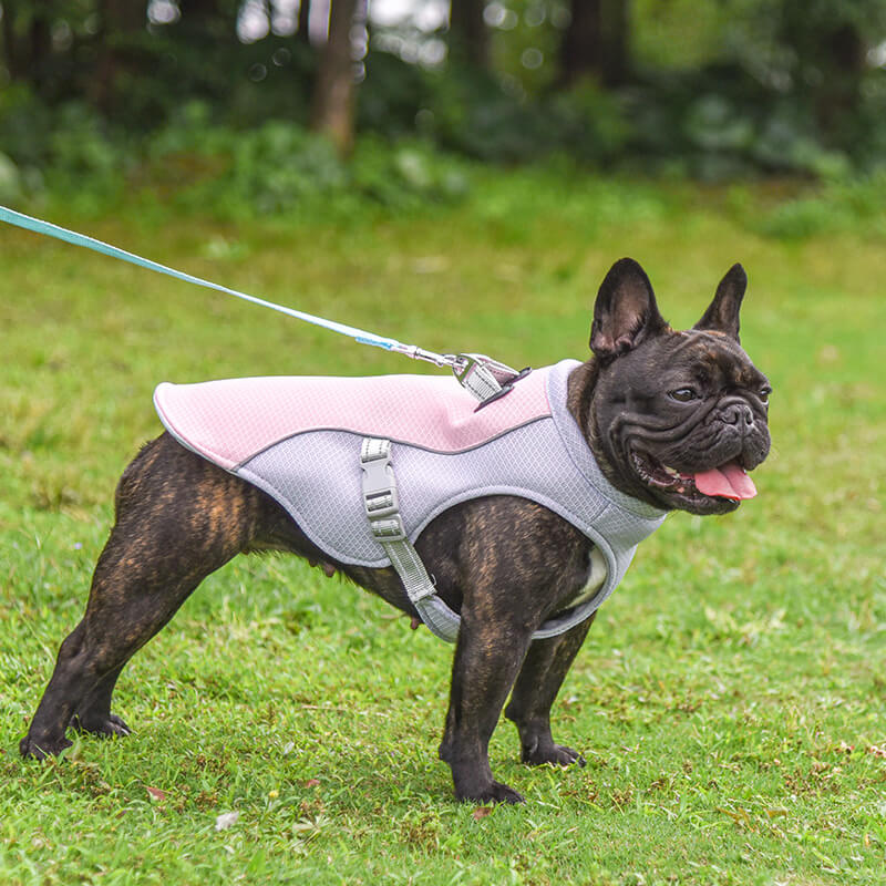 Breathable Vest For Sunstroke Prevention Water-soakable Dog Cooling Vest - Holidayae