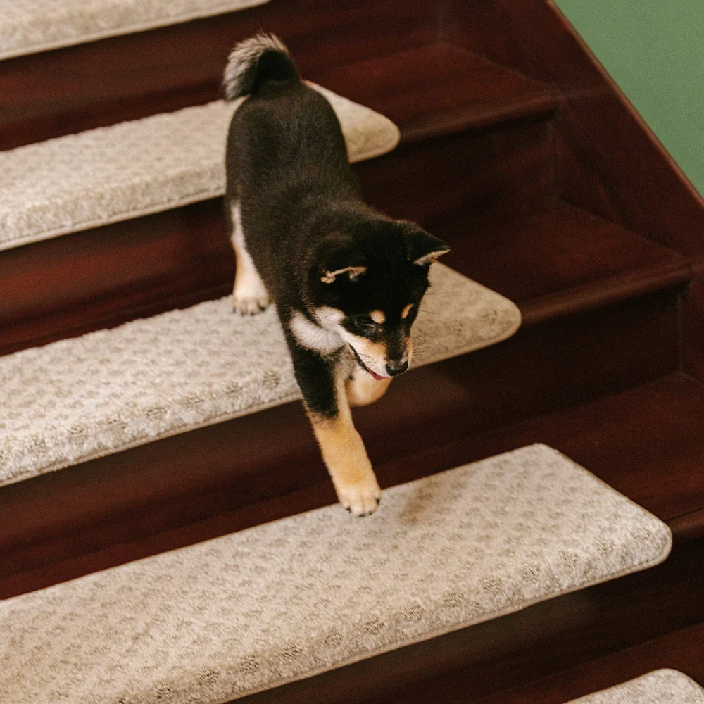Soft Plush Indoor Stair Protectors Pet Friendly Tape Free Carpet Stair Treads - Holidayae