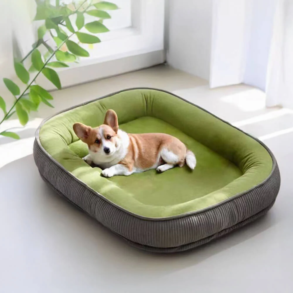 Durable Scratch-Resistant Suede Surface Dog Bed - Holidayae