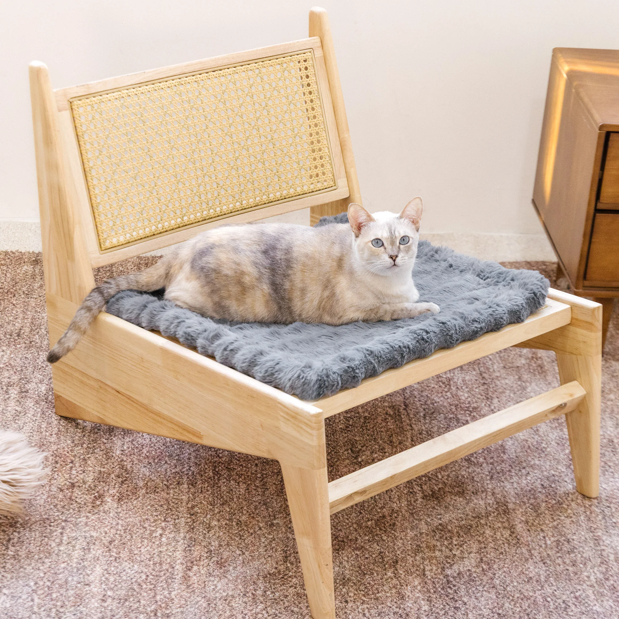 Fluffy Plush Faux Fur Warm Pet Mat Non-slip Couch Cover - Holidayae