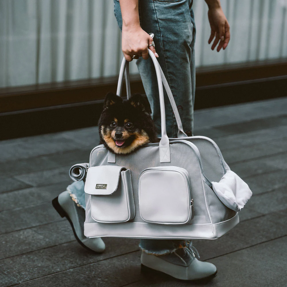 Lightweight Breathable Mesh Safe Pet Carrier - Urban Ease - Holidayae