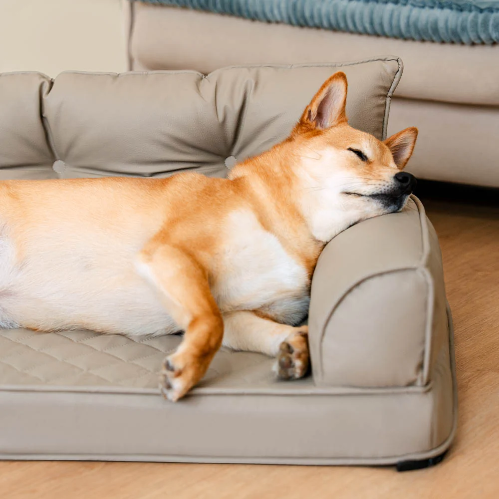 Luxe Faux Leather Foldable Orthopedic Large Dog Bed - CoreLounge - Holidayae