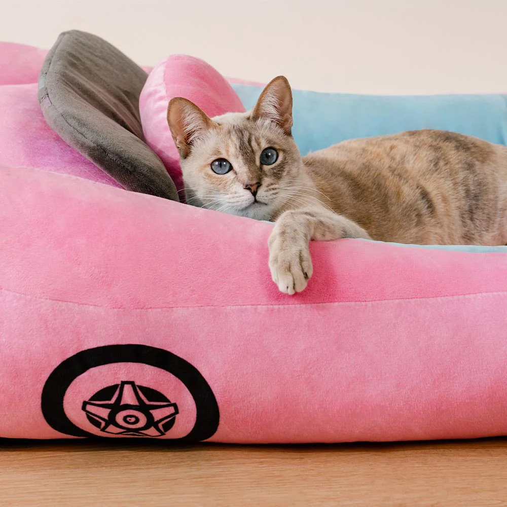 Classic Convertible Race Car Bolster Cat Bed - Fast  Fur - Holidayae