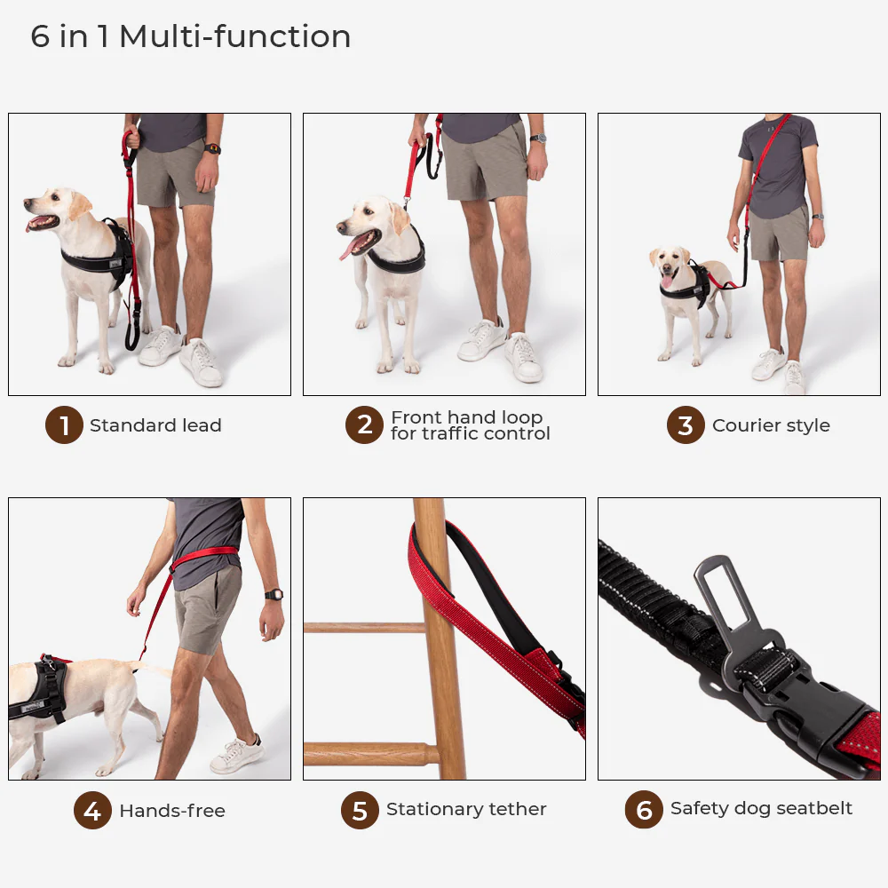 Multifunction Hands Free Dog Leash With Safety Seat Belt - Holidayae